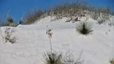Visitor found dead at White Sands National Park over 4th of July weekend