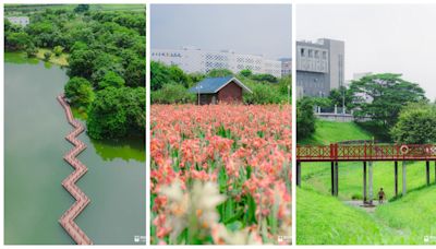 深圳坪山「花海步道」散步路線 花田+濕地+河岸必推3大打卡位