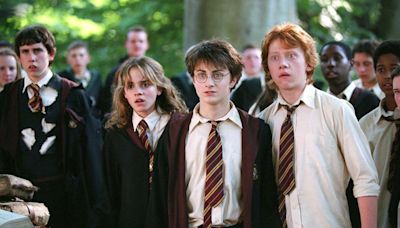 « Harry Potter » : voici toutes les informations importantes sur la série