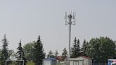 City of Grande Prairie encourages camouflaging cell towers