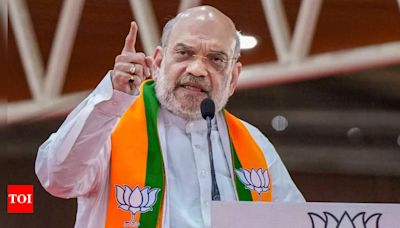 Congress gave OBC quota to Muslims in Karnataka, BJP won't allow it in Haryana: Amit Shah | India News - Times of India
