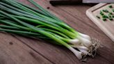 This Simple Mistake Is Ruining Your Green Onions
