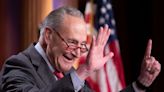 'Exuberant' Chuck Schumer on what a 51-seat majority means for Democrats