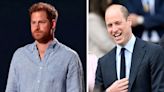 King Charles Taps Prince William to Take Over Harry’s Old Regiment