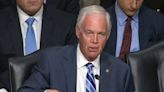 'Makes it partisan': Ron Johnson whines at FBI tagging Trump shooting 'domestic terrorism'