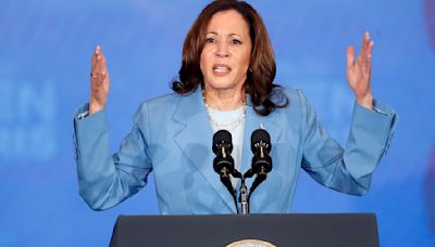 New poll reveals what Democrats think of Kamala Harris being president