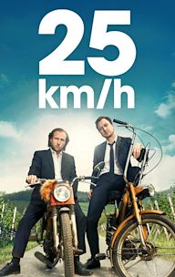 25 km/h