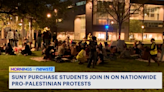 Students at SUNY Purchase join pro-Palestinian protest movement