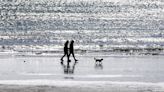 Dog restrictions to be brought in on Westward Ho! beach