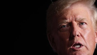 'He reeks of fear': Ex-Clinton adviser roasts 'panic-stricken' Trump over debate drop out