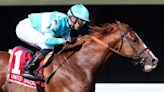 2022 U.N. Winner Adhamo Regroups in the Monmouth Stakes