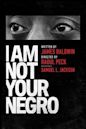 I Am Not Your Negro