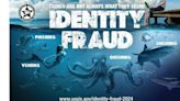 Things are not always what they seem: Beware of identity fraud