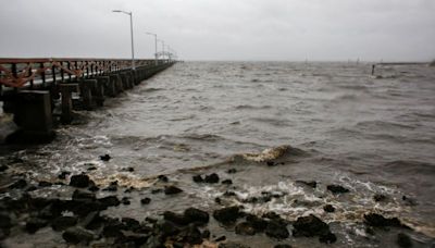 Tampa zoo animals hunkered down as Hurricane Milton nears