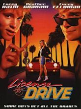 License to Drive