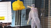 Boy dies from high risk Nipah virus in India as health authorities issue alert
