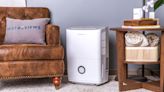 Which dehumidifier is best for basements?