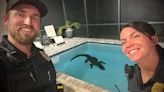Gator caught taking a dip in Florida pool
