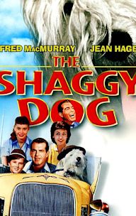 The Shaggy Dog