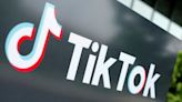 Top U.S. cyber official says TikTok represents 'strategic' challenge