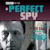 A Perfect Spy (TV series)