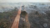 Incêndios no Pantanal ameaçam o deslocamento na região