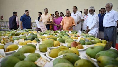 Keeping up with UP | Why have luscious mangoes lost their political flavour?