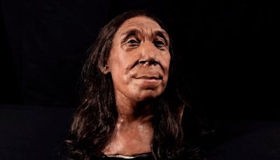 Face of Neanderthal woman buried in Iraq cave 75,000 years ago revealed