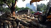 Timber-laden lorry overturns in Kochi