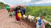 Los rebeldes del Congo se apoderan de una ciudad clave en la frontera este -activistas