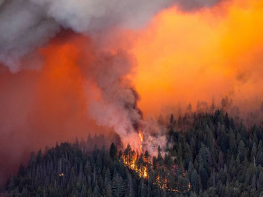 California wildfire growing 'rapidly' as homes evacuated | ITV News