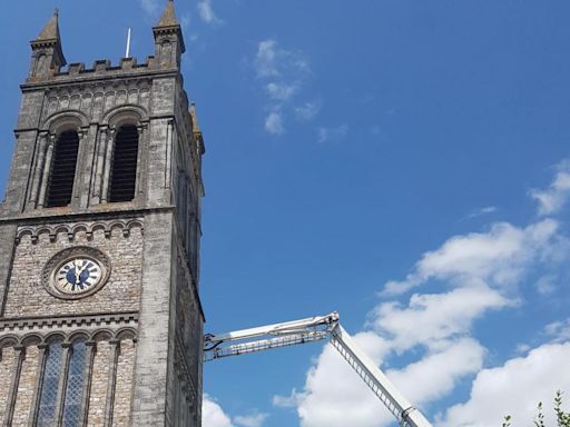 Firefighters attempt seagull rescue with crane — but it flies off