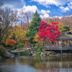 Brookside Gardens