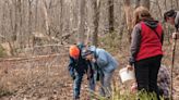 Pocono adventures: Explore vernal pools of Paradise Township