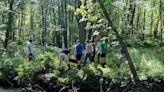 Central Pa. anglers association draws more than 30 volunteers for cleanup