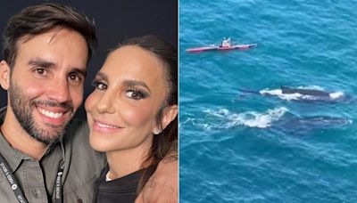 Marido de Ivete Sangalo tem encontro com baleias e cantora comenta: ‘Elas foram até você’