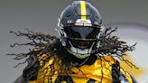 Donte Jackson: Steelers knew I'd be 'perfect corner for this system and this division'