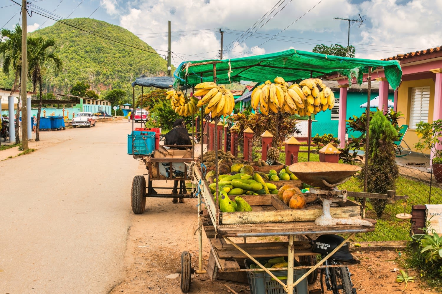 "The flour tastes like acid." Cuba cuts daily bread rations amid food shortage crisis