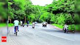 Bardan Phata becoming accident blackspot in Nashik | Nashik News - Times of India