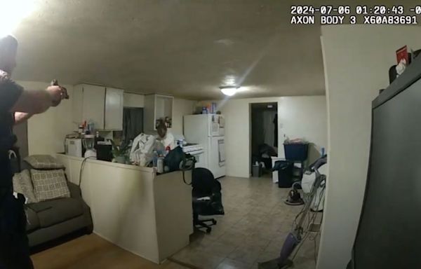 Illinois Police release body-cam video of fatal shooting of Black woman in her home