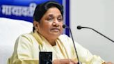 Mayawati calls BSP Tamil Nadu chief murder 'brutal', appeals for peace
