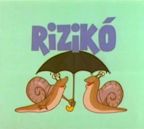 Rizikó