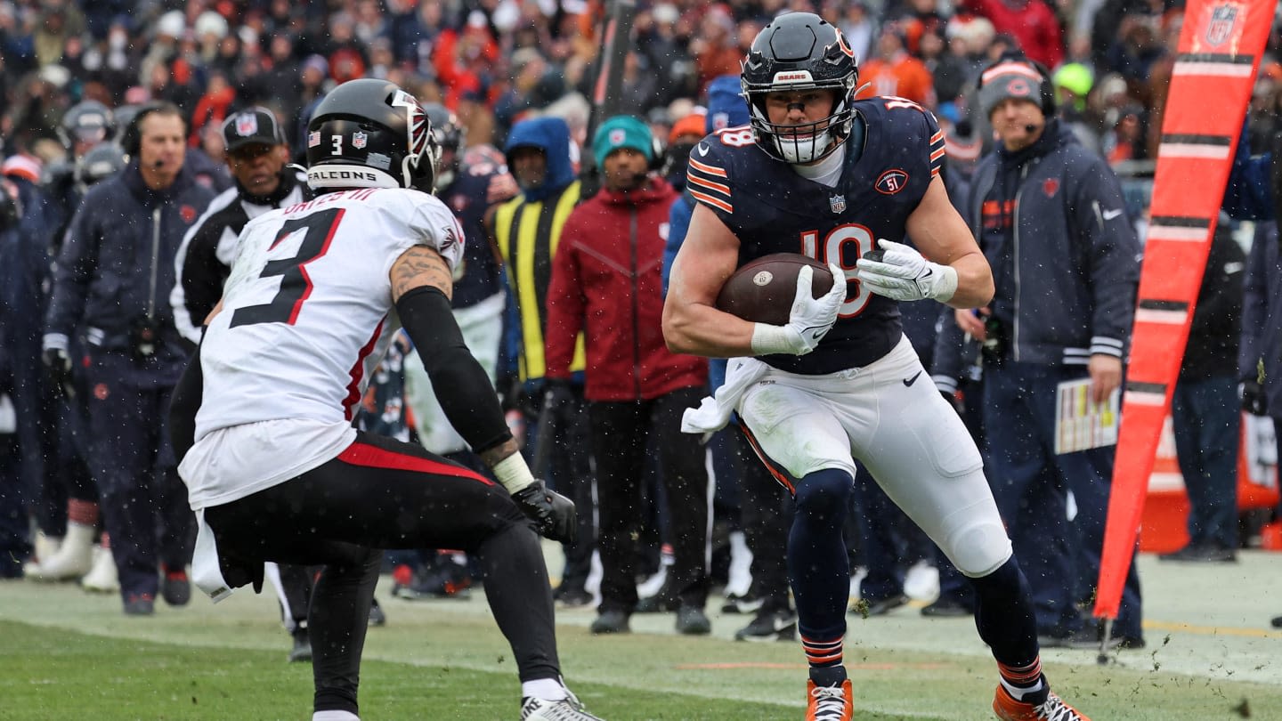 Former Bears Tight End Signs with Vikings
