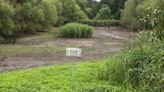 El descanso eterno en los bosques, una alternativa a los cementerios cada vez más extendida