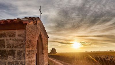 One Of The Best Wines In A Classic Region Improves A Lesser Known Estate