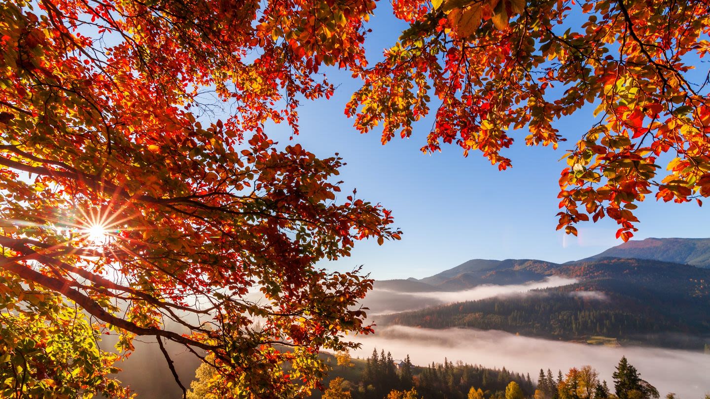 The Most Beautiful Fall Photos from Around the World