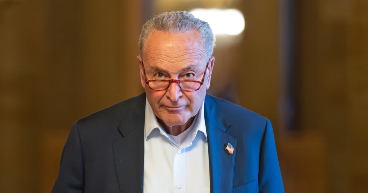 Schumer had a 'blunt' private conversation with Biden about the state of the 2024 race