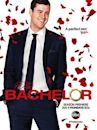 The Bachelor (American TV series) season 20