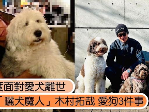 木村拓哉再度面對愛犬離世，回顧男神愛狗3件事：不是在遛狗，就是在遛狗路上