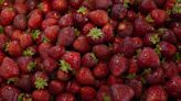 Where to find sweet Washington strawberries